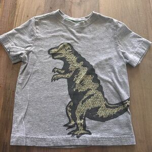 Hanna Andersson Dinosaur Tshirt size 110 5US